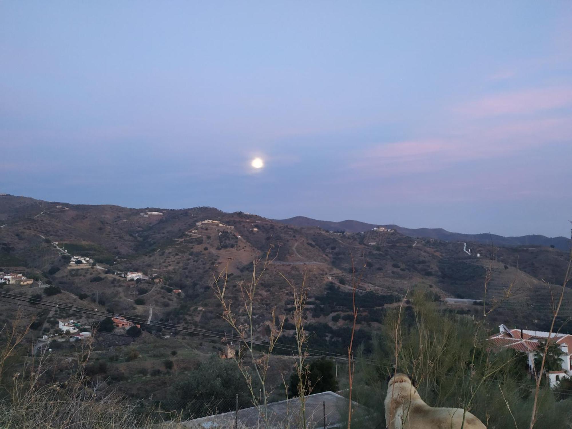 Paraje El Pozo Dom wakacyjny *