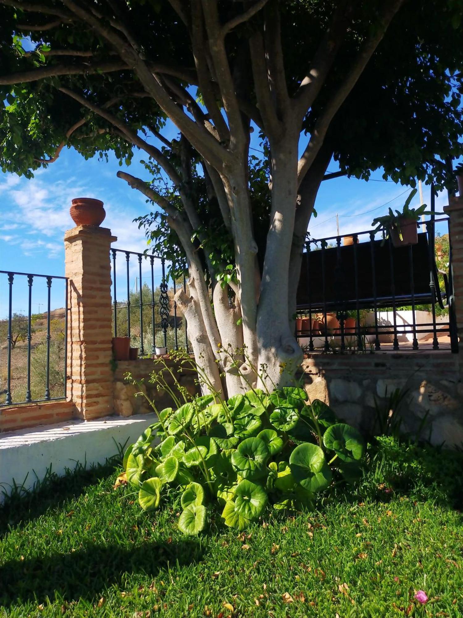 Paraje El Pozo Dom wakacyjny Malaga