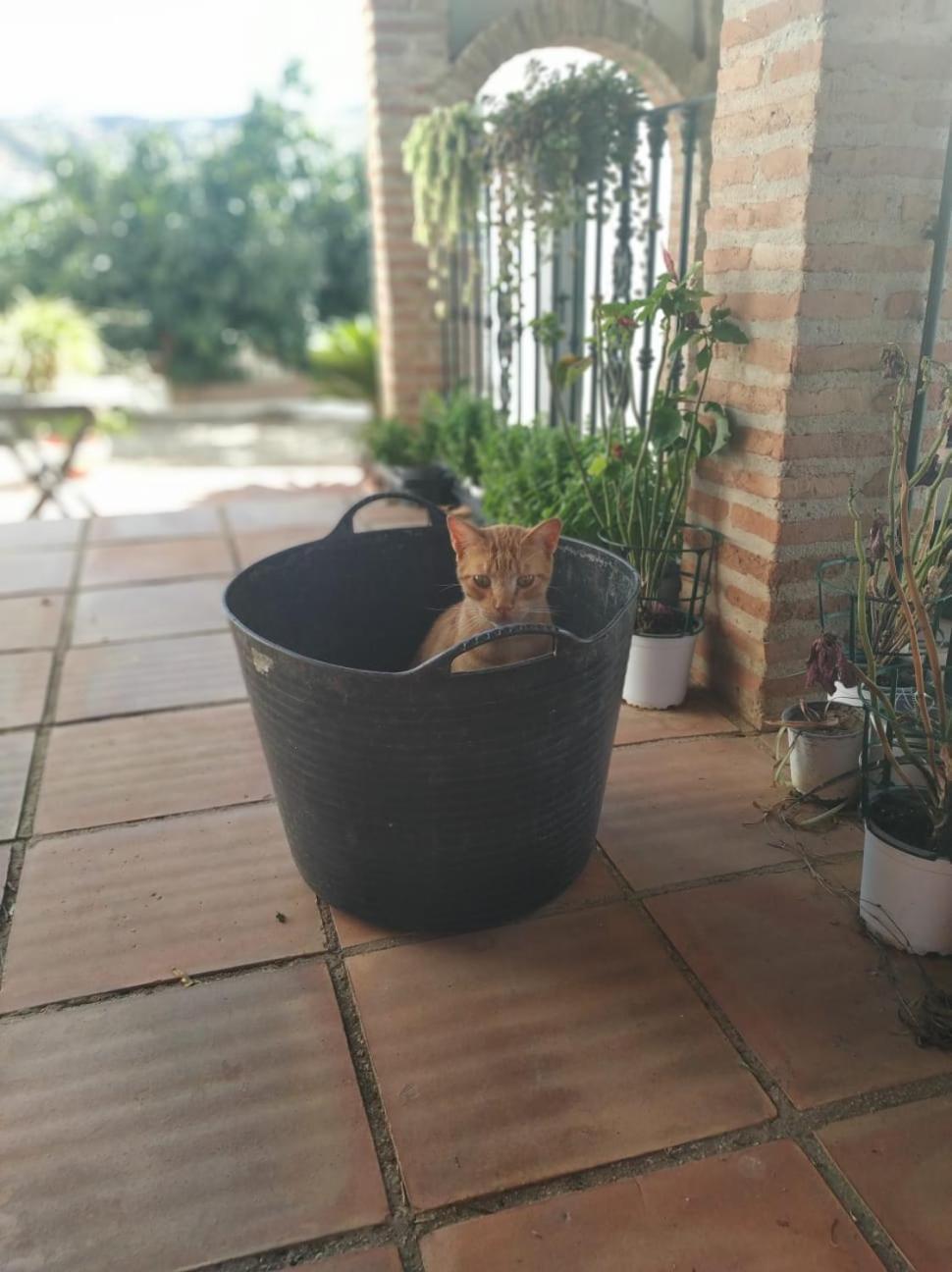 Dom wakacyjny Paraje El Pozo *